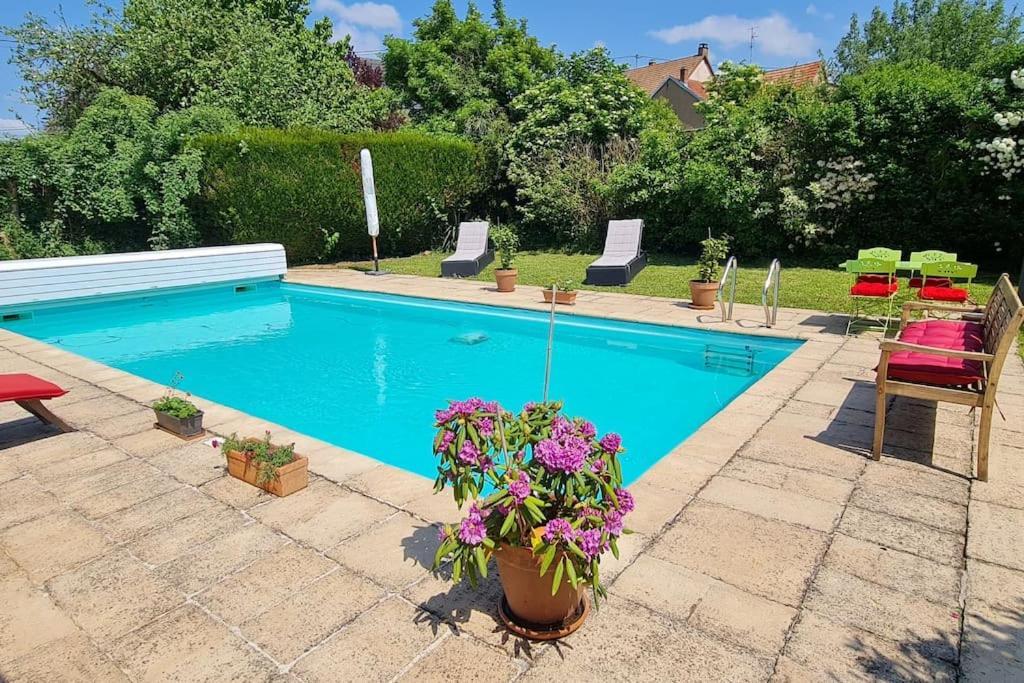 Апартаменты Alsace Bas-Rhin Logis Independant Avec Piscine Privee Alteckendorf Экстерьер фото