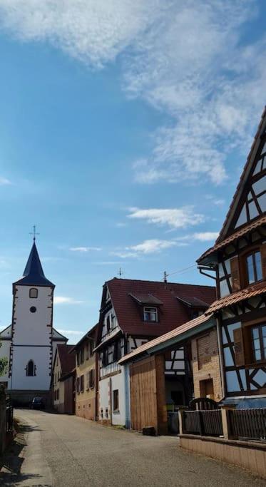 Апартаменты Alsace Bas-Rhin Logis Independant Avec Piscine Privee Alteckendorf Экстерьер фото